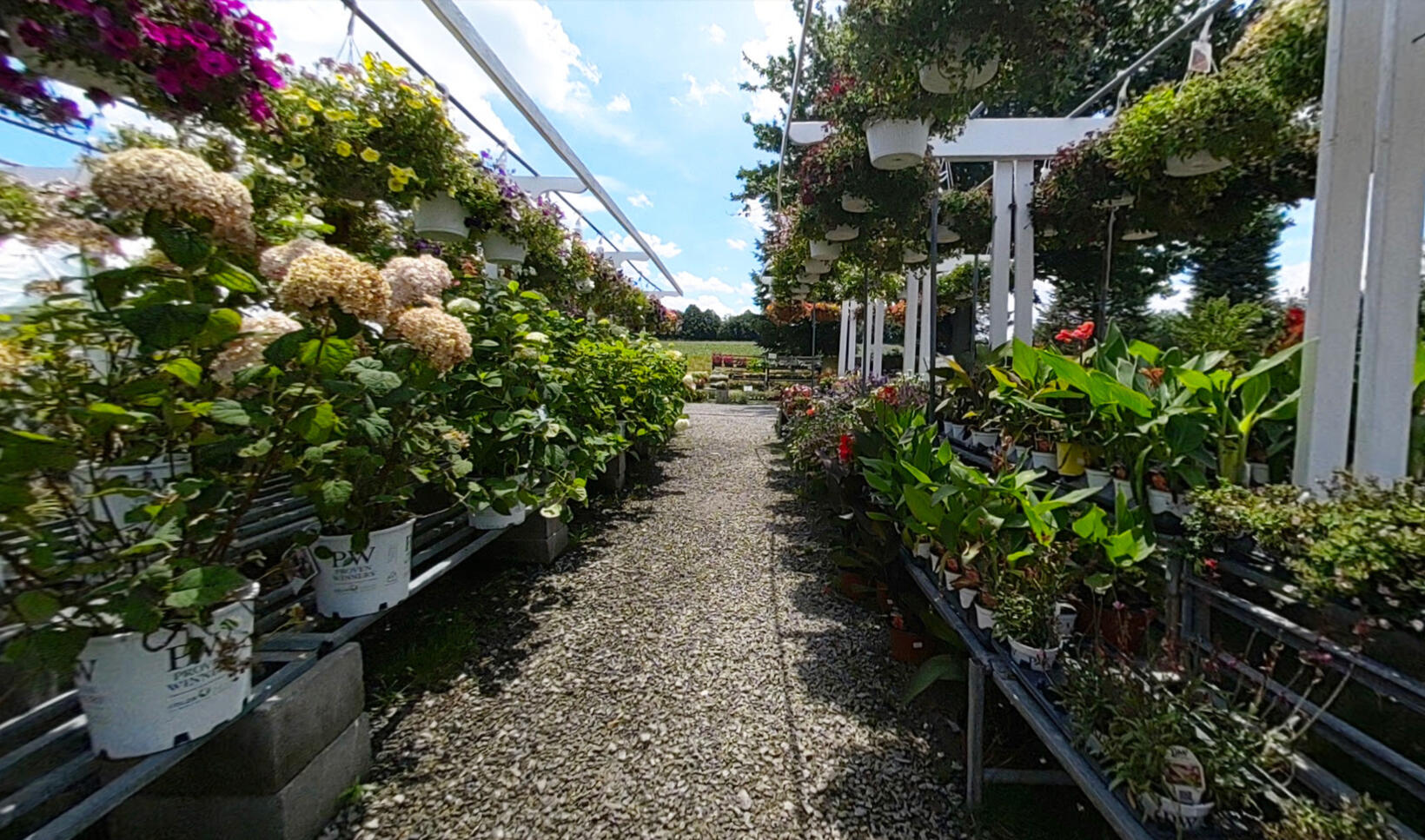 360° Photo • Ercolanos Nursery